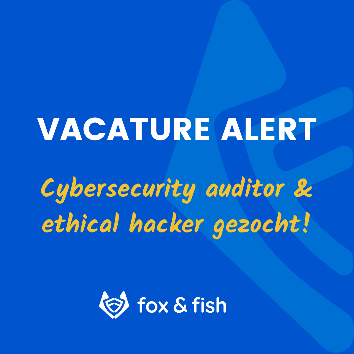 Vacature cybersecurity auditor & ethical hacker