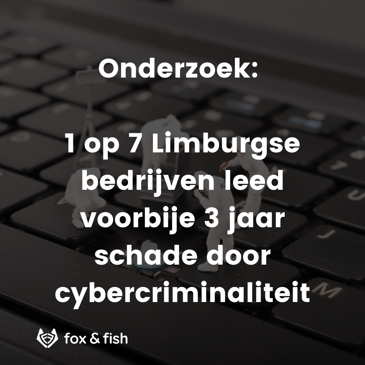 Onderzoek: 1 op 7 Limburgse bedrijven leed voorbije 3 jaar schade door cybercriminaliteit