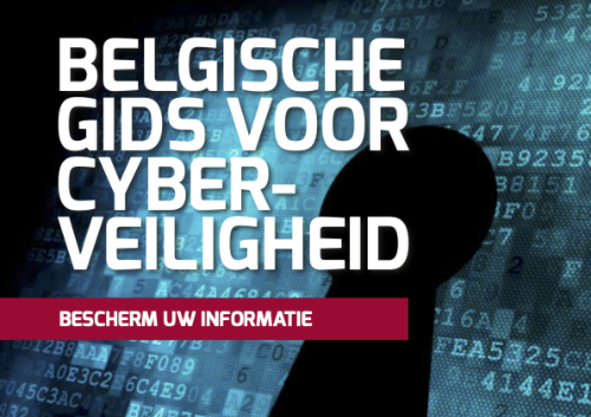 Download de gids: De Belgische gids voor cyberveiligheid.